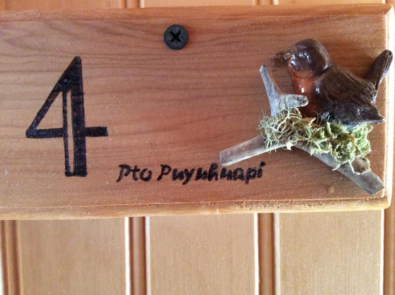 Los Manios Del Queulat Puyuhuapi Εξωτερικό φωτογραφία